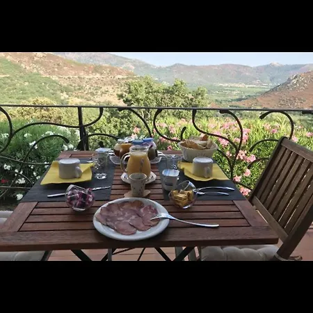 La Maison Cm Nessa